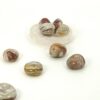 Crazy Lace Agate Tumbles