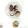 Crazy Lace Agate Tumbles - Image 3