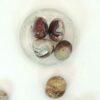 Crazy Lace Agate Tumbles - Image 5