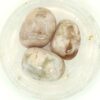 Flower Agate Tumbles - Image 4