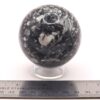 Fossilized Coral Sphere - Image 3