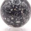 Fossilized Coral Sphere - Image 4