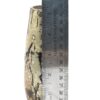 Picture Jasper Vases - Image 22