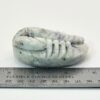 Hackmanite Scorpion Carving - Image 4