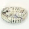 Hackmanite Scorpion Carving - Image 3