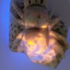 Hackmanite Spider Carving - Image 13