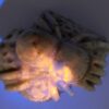 Hackmanite Spider Carving - Image 12