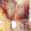 Hematoid Quartz Phoenix Carvings - Image 16