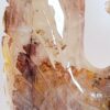 Hematoid Quartz Phoenix Carvings - Image 27