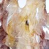 Hematoid Quartz Phoenix Carvings - Image 30