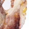 Hematoid Quartz Phoenix Carvings - Image 32