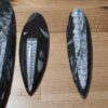 Orthoceras Fossils - Image 8
