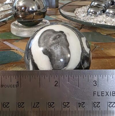 Fossil Shell Jasper Spheres- Gray - Image 14