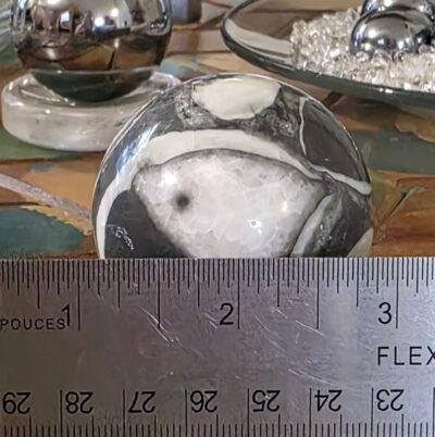 Fossil Shell Jasper Spheres- Gray - Image 19