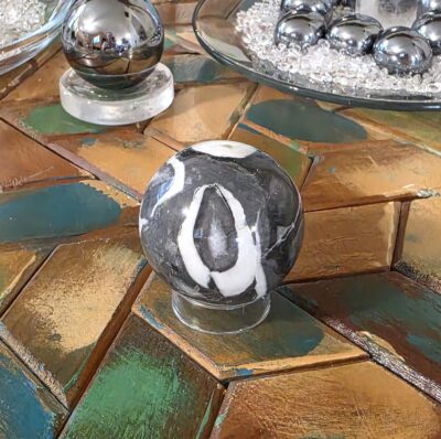 Fossil Shell Jasper Spheres- Gray - Image 17