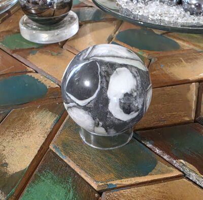 Fossil Shell Jasper Spheres- Gray - Image 22
