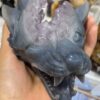 Amethyst Wolf Head - Image 11