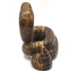 Tiger Eye Rattlesnake - Image 8