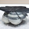 Taiji Stone Rose - Image 7