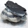 Taiji Stone Rose - Image 8