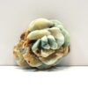 Amazonite Rose - Image 2
