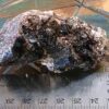 Raw Black Tourmaline with Mica - Image 4