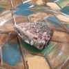 Raw Black Tourmaline with Mica - Image 8