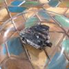 Raw Black Tourmaline with Mica - Image 22