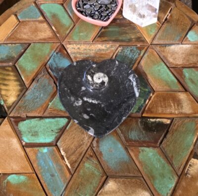 Heart-Shaped Fossil Plates - Image 4