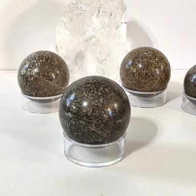 Dinosaur Bone Spheres - Image 3