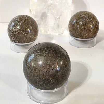 Dinosaur Bone Spheres - Image 5