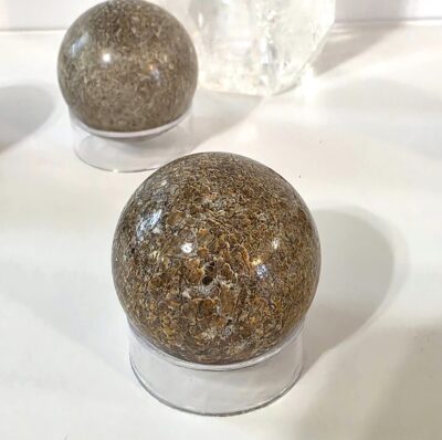 Dinosaur Bone Spheres - Image 12