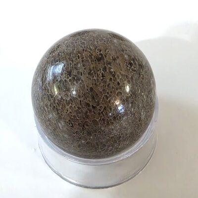 Dinosaur Bone Spheres - Image 15