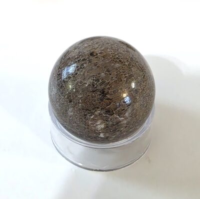 Dinosaur Bone Spheres - Image 17
