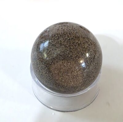Dinosaur Bone Spheres - Image 16