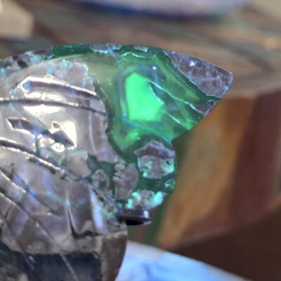 Volcano Agate Butterflies - Image 6