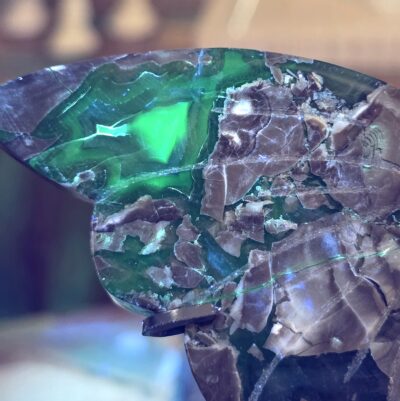Volcano Agate Butterflies - Image 7