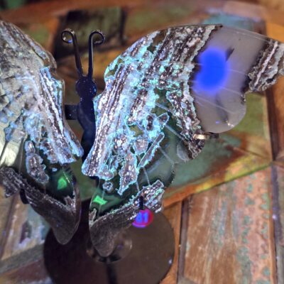 Volcano Agate Butterflies - Image 11