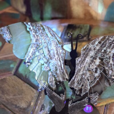 Volcano Agate Butterflies - Image 12