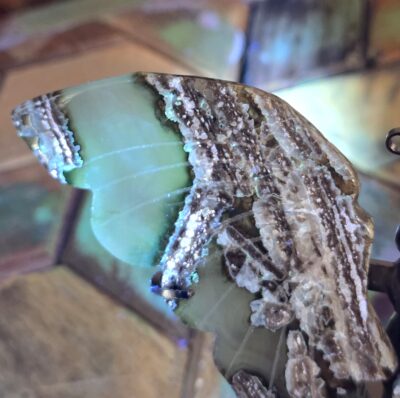 Volcano Agate Butterflies - Image 13