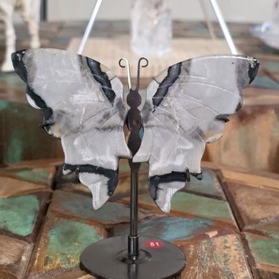 Volcano Agate Butterflies