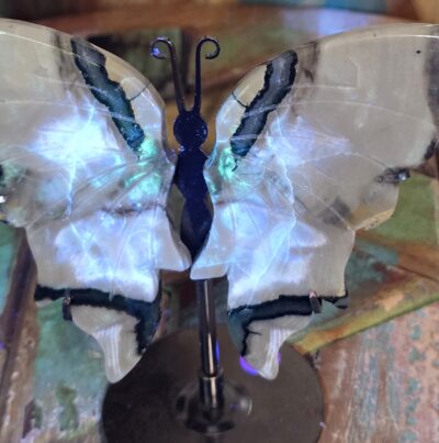 Volcano Agate Butterflies - Image 18