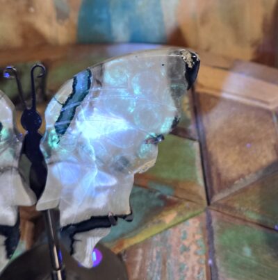 Volcano Agate Butterflies - Image 19