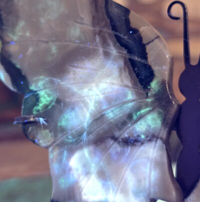 Volcano Agate Butterflies - Image 21