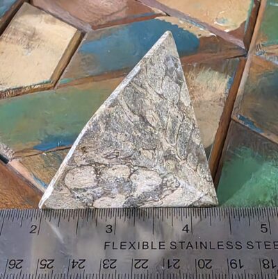 Fossilized Coral Pyramids - Image 3