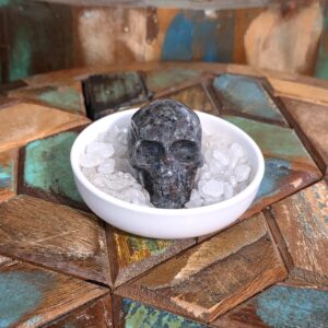 Yooperlite Skull