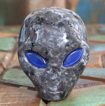 Alien Head Carvings - Image 6